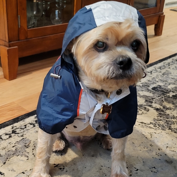❤️ Host Pick ❤️ Lightweight Dog Hooded Rain Jacket M - Picture 4 of 16